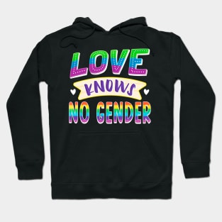 Love Knows No Gender LGBTQ Gay Pride Hoodie